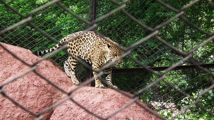 1. Nehru Zoological Park 